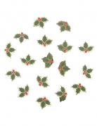 Confettis de table houx de Noël en papier vert 10g