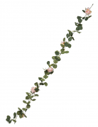 Guirlande de roses et eucalyptus vert et rose 1,70m artificielle